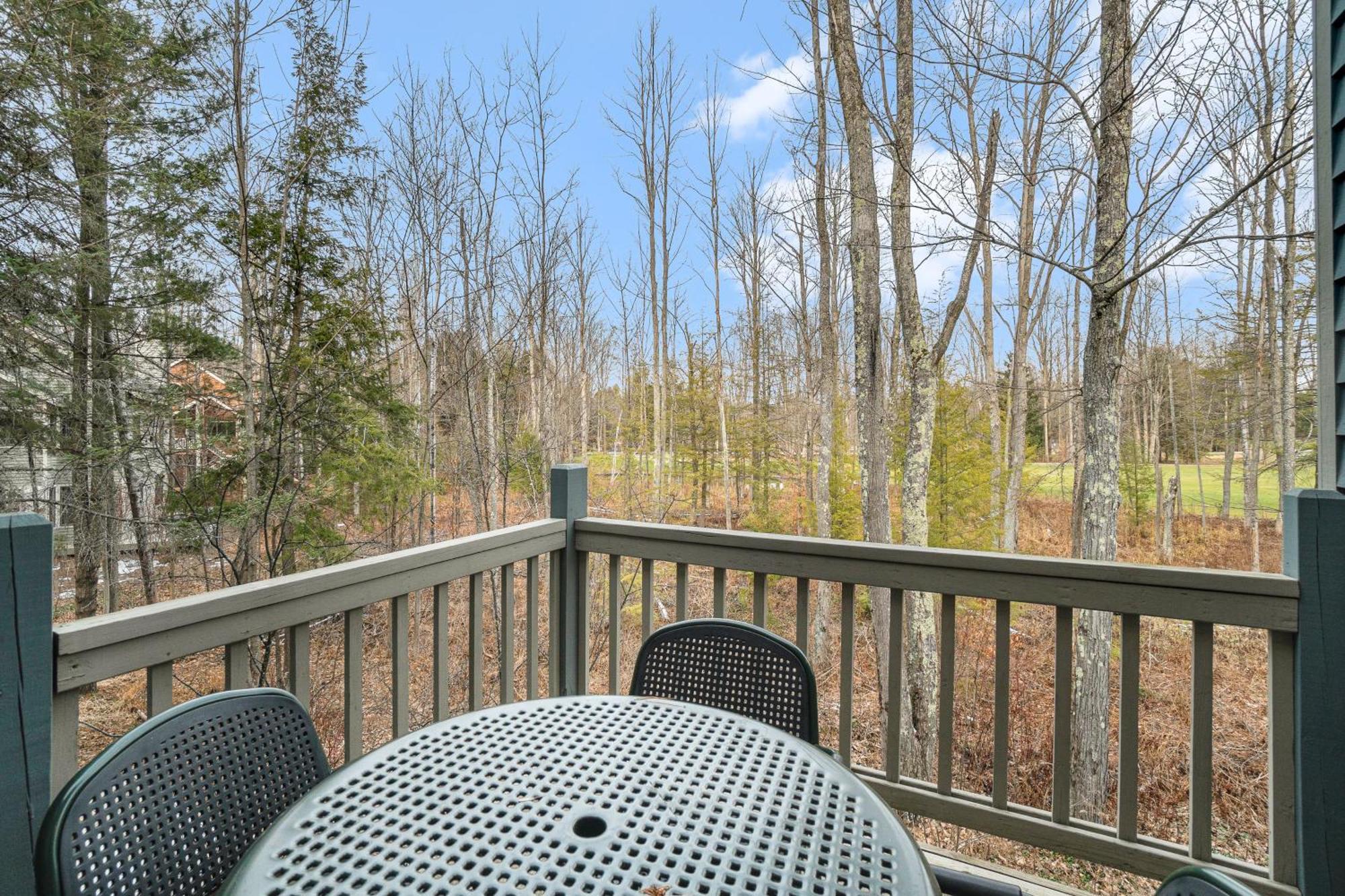 Wintergreen Condos Thompsonville Quarto foto