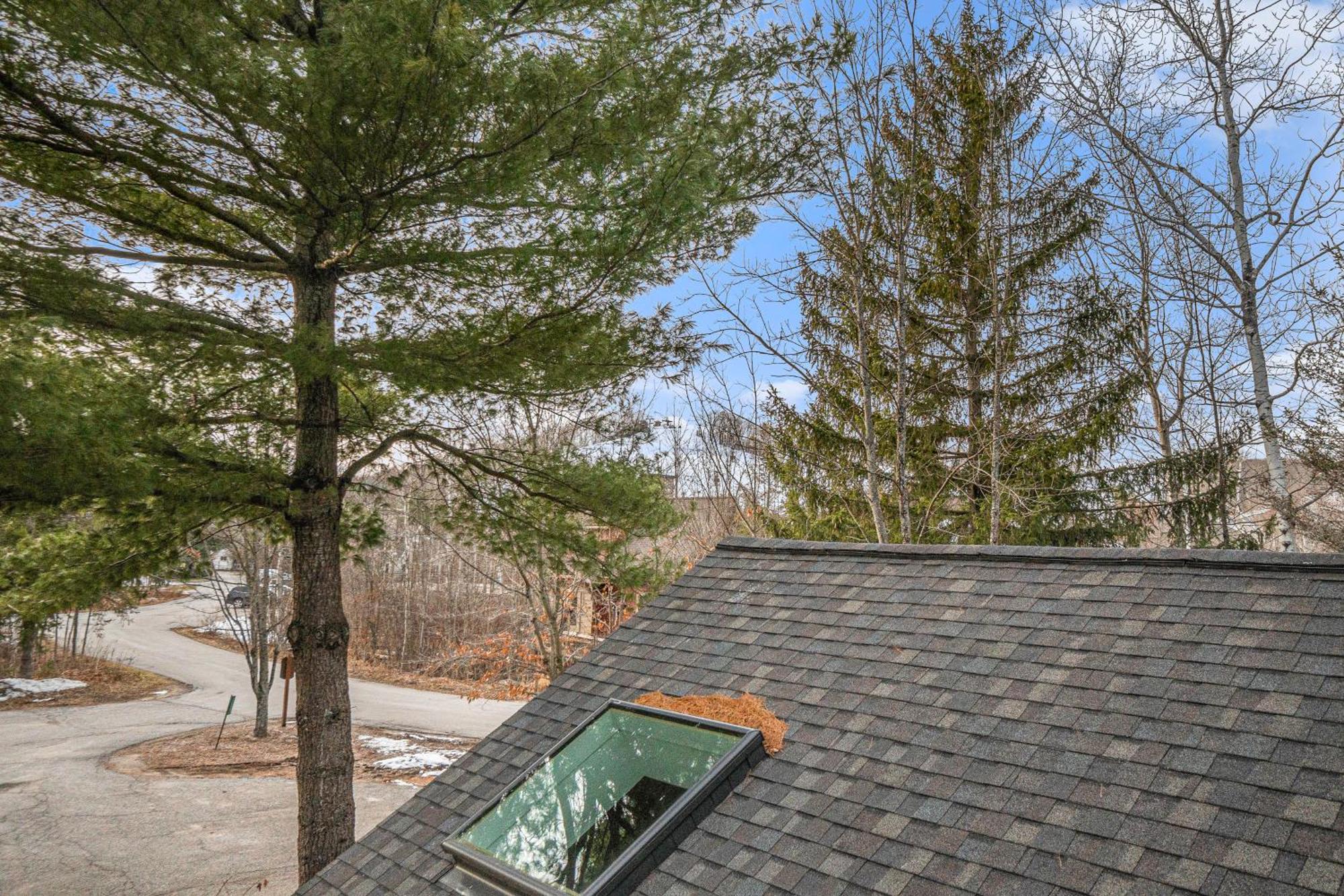 Wintergreen Condos Thompsonville Quarto foto