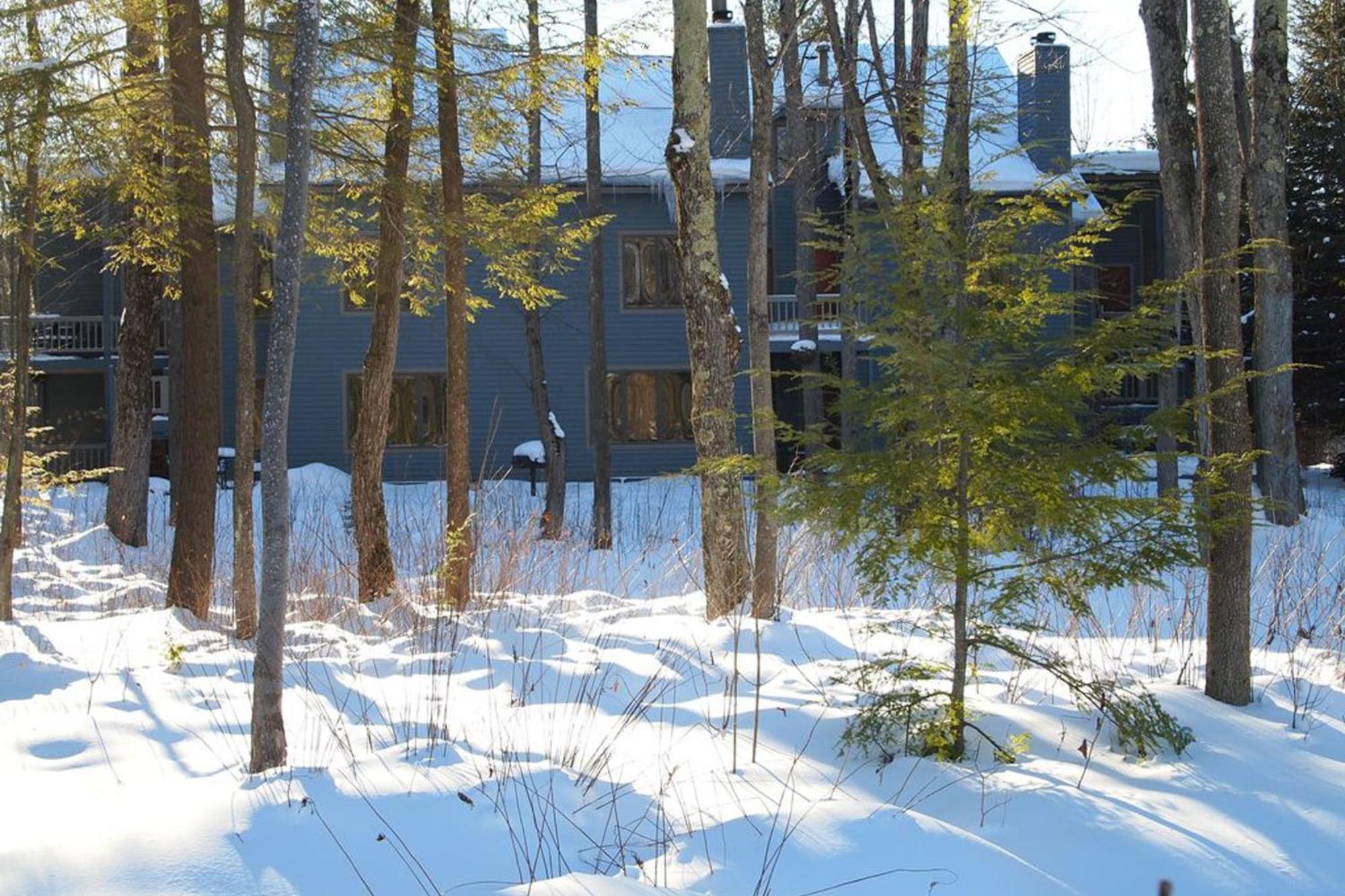 Wintergreen Condos Thompsonville Quarto foto