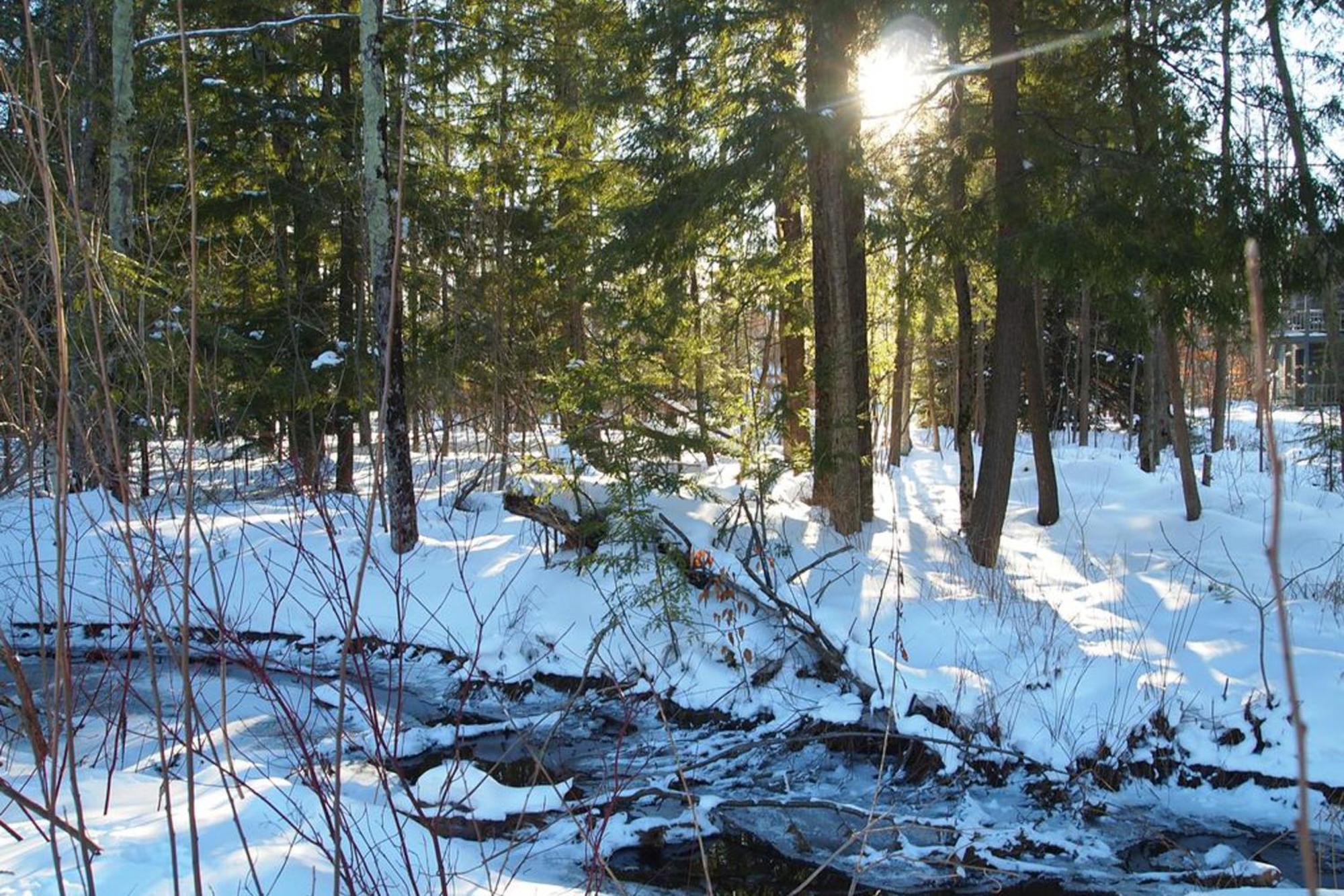 Wintergreen Condos Thompsonville Quarto foto