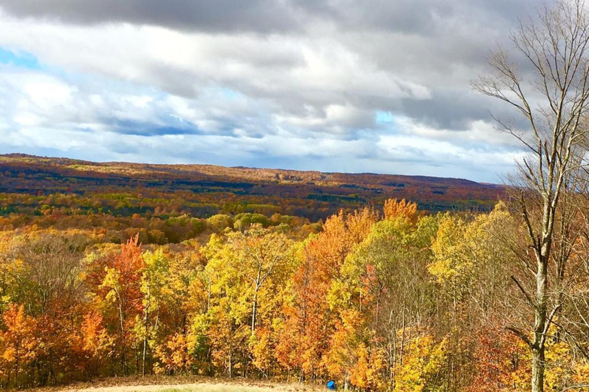 Wintergreen Condos Thompsonville Quarto foto